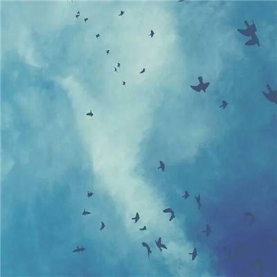 冰鸟游戏幻剑问情下载