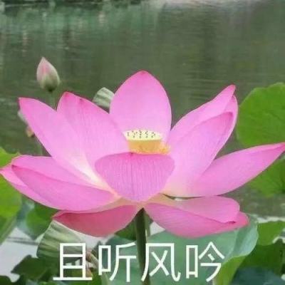 野蛮人大乱斗腾讯官方版下载